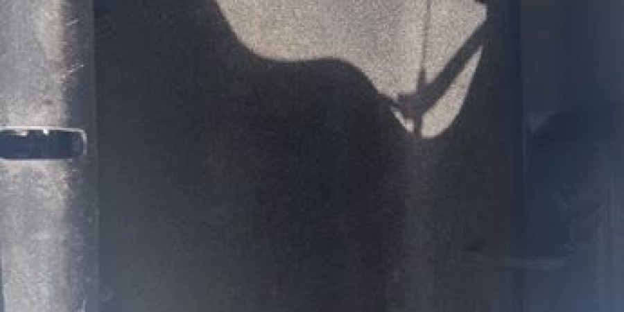 Mazda MX-5 EDITION SPECIALE NISEKO 2.0I 160 CV BVM5