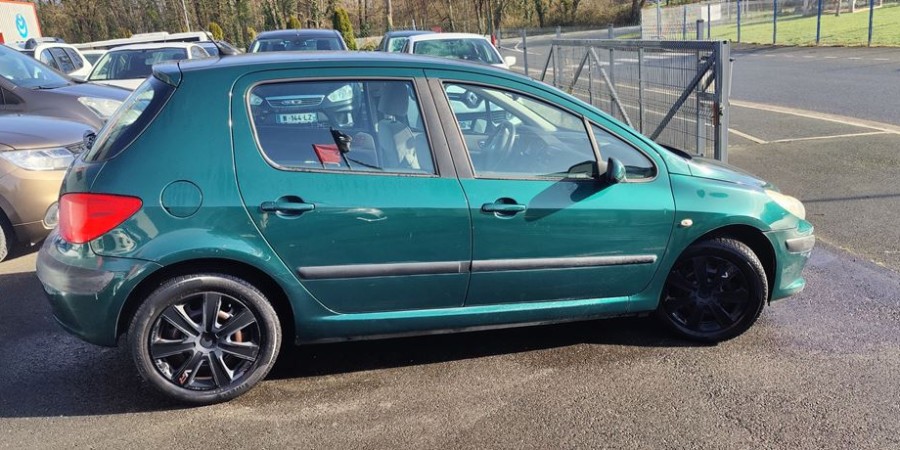 Peugeot 307 1.6 HDI 110 CV / PACK EXECUTIVE