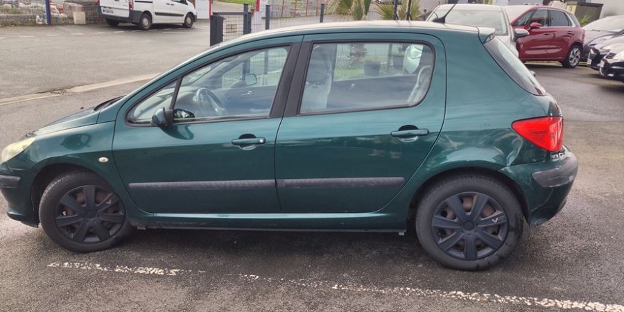Peugeot 307 1.6 HDI 110 CV / PACK EXECUTIVE